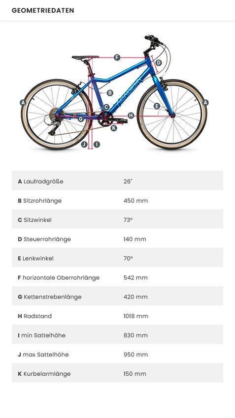 ACADEMY Grade 6 Kinderfahrrad – Bild 5